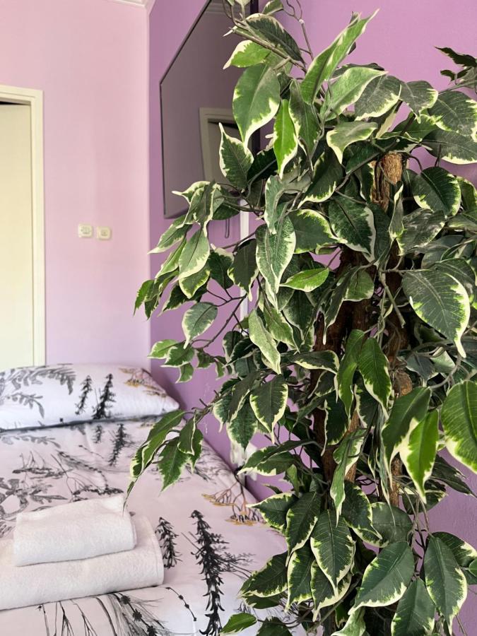 Apartman Lora Apartment Rijeka Ngoại thất bức ảnh